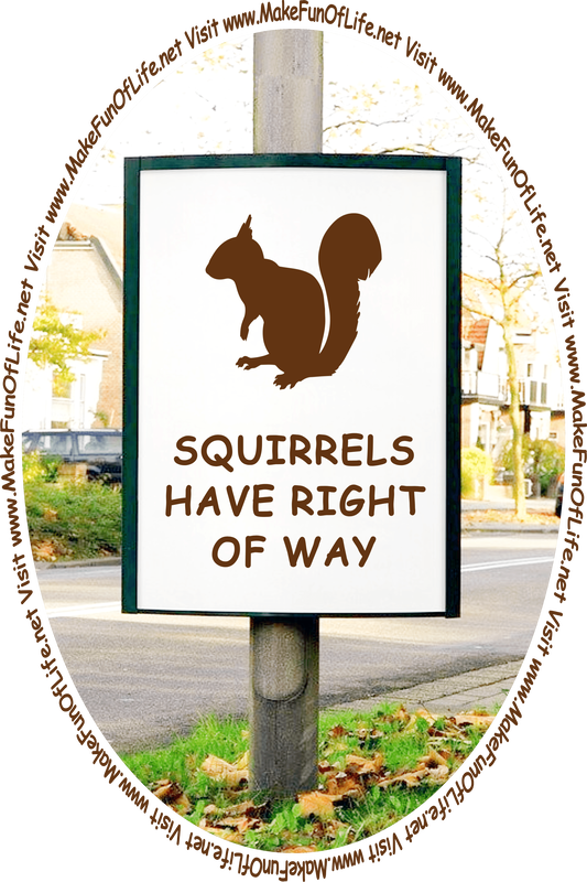 Road sign alongside a residential street, with a picture of a squirrel on it and the words, ‘Squirrels Have Right Of Way - Visit www.MakeFunOfLife.net.’
