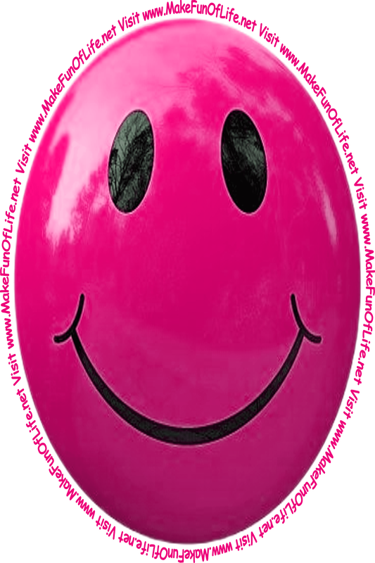 Picture of a rosey-red smiley face and the words, 'Visit www.MakeFunOfLife.net.'