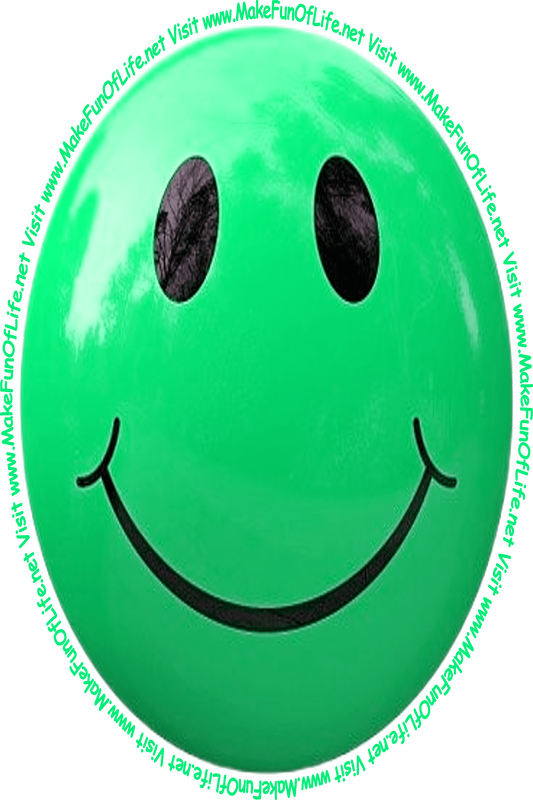 Picture of a light bluish-green smiley face and the words, 'Visit www.MakeFunOfLife.net.'