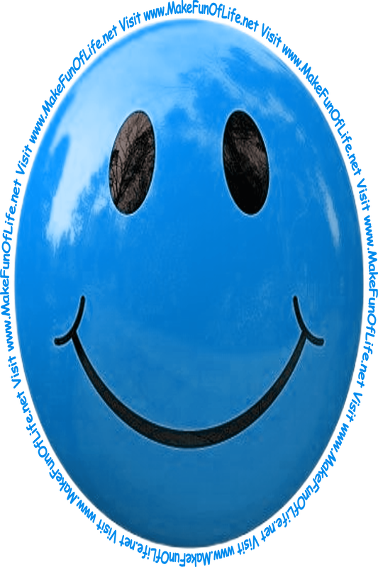 Picture of a medium-light-blue smiley face and the words, 'Visit www.MakeFunOfLife.net.'