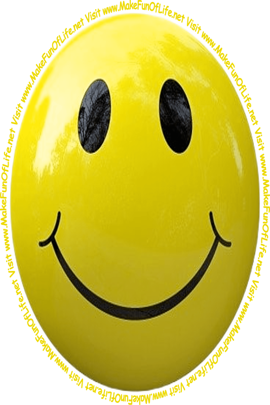 Picture of a deep yellow smiley face and the words, 'Visit www.MakeFunOfLife.net.'