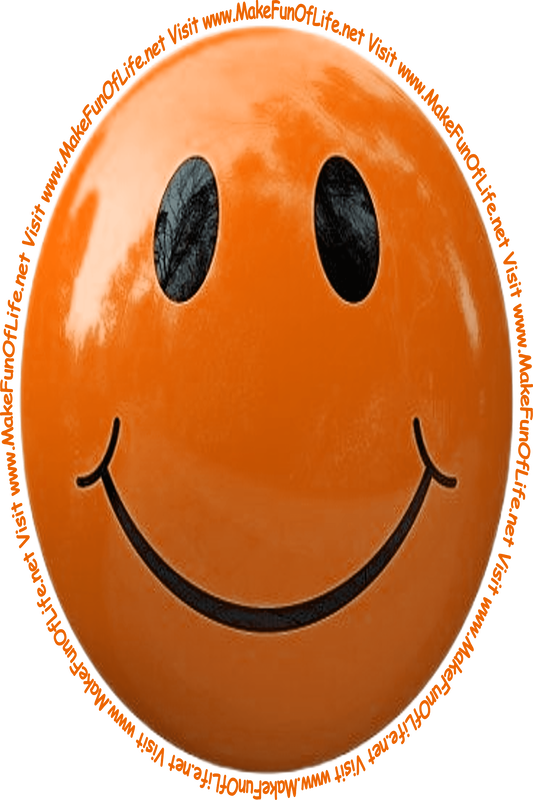 Picture of an orangish-brown smiley face and the words, 'Visit www.MakeFunOfLife.net.'