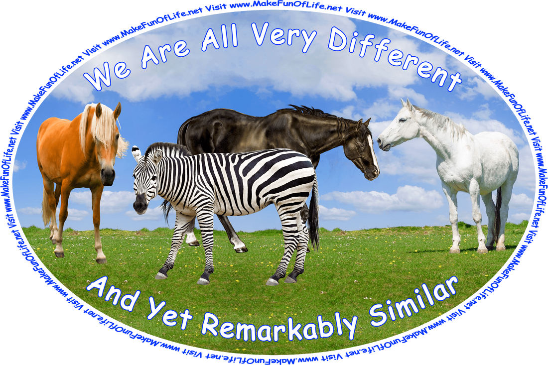 Picture of a black-and-white-striped zebra and three horses of various colors and heights standing together in a grassy area, and the words, ‘We Are All Very Different And Yet Remarkably Similar - Visit www.MakeFunOfLife.net.’