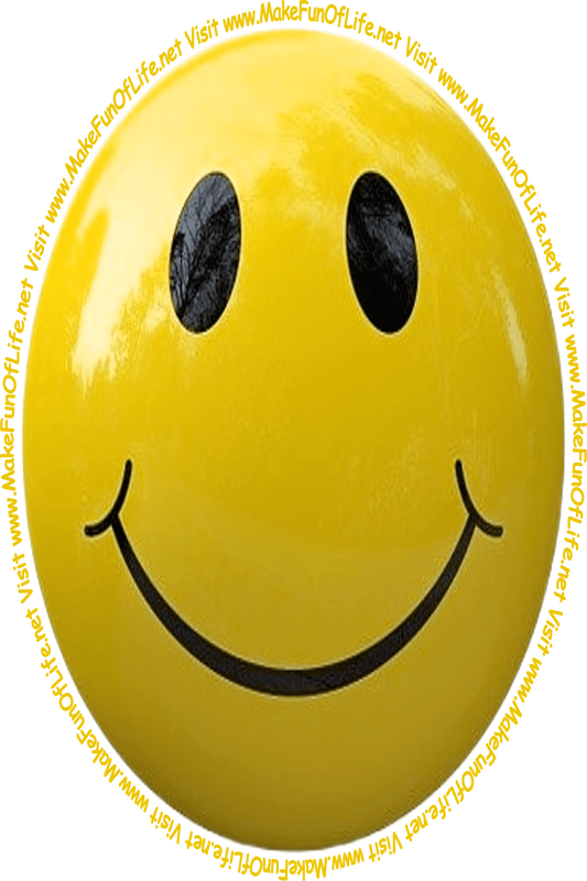 Picture of a honey-yellow smiley face and the words, 'Visit www.MakeFunOfLife.net.'
