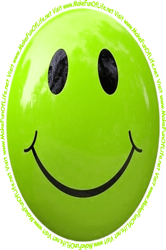 Picture of a light green smiley face and the words, 'Visit www.MakeFunOfLife.net.'