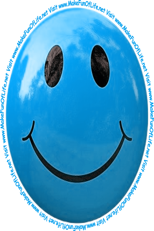 Picture of a medium light blue smiley face and the words, 'Visit www.MakeFunOfLife.net.'