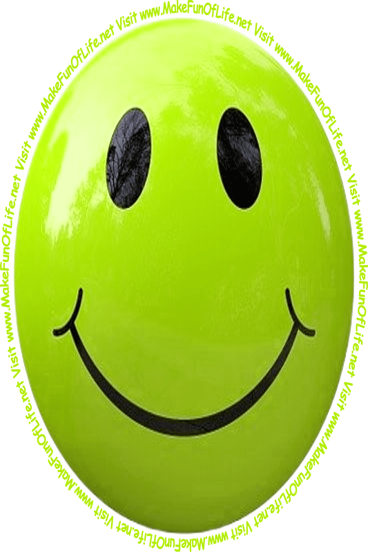 Picture of a light yellowish-green smiley face and the words, 'Visit www.MakeFunOfLife.net.'