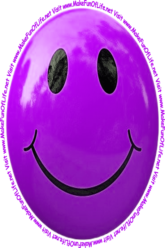 Picture of a purple smiley face and the words, 'Visit www.MakeFunOfLife.net.'