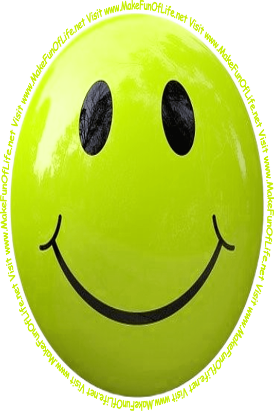 Picture of a yellow-green smiley face and the words, 'Visit www.MakeFunOfLife.net.'