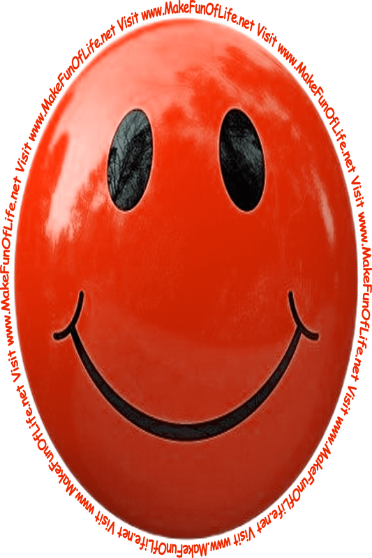 Picture of a rich red smiley face and the words, 'Visit www.MakeFunOfLife.net.'