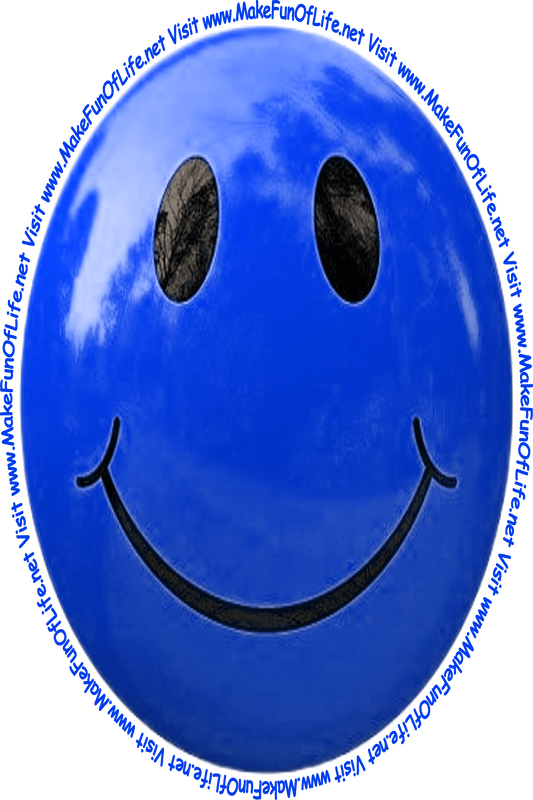 Picture of a dark blue smiley face and the words, 'Visit www.MakeFunOfLife.net.'