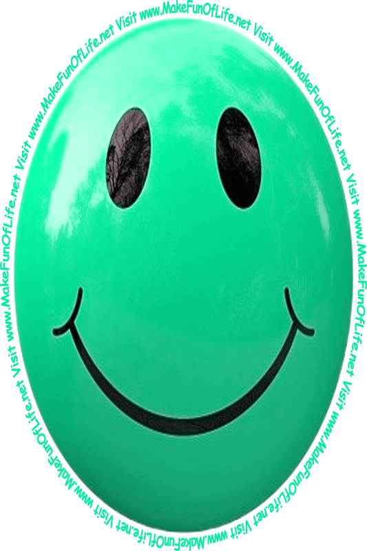 Picture of a pale green smiley face and the words, 'Visit www.MakeFunOfLife.net.'