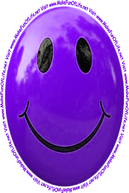 Picture of an indigo smiley face and the words, 'Visit www.MakeFunOfLife.net.'