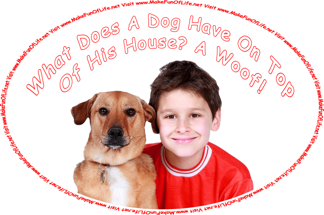 Picture of a medium-size brown dog with low-hanging ears next to a happy smiling boy, and the words, ‘What Does A Dog Have On Top Of His House? A Woof! - Visit www.MakeFunOfLife.net.’