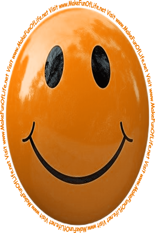 Picture of an orangish-brown smiley face and the words 'Visit www.MakeFunOfLife.net.'