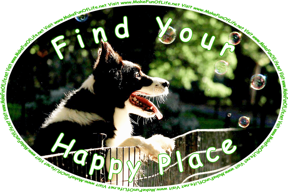 Picture of a happy black and white dog standing on its hind legs, with its front paws resting on the top of a fence, mouth open and tongue hanging out, watching several soap bubbles floating through the air, and the words, ‘Visit www.MakeFunOfLife.net.’