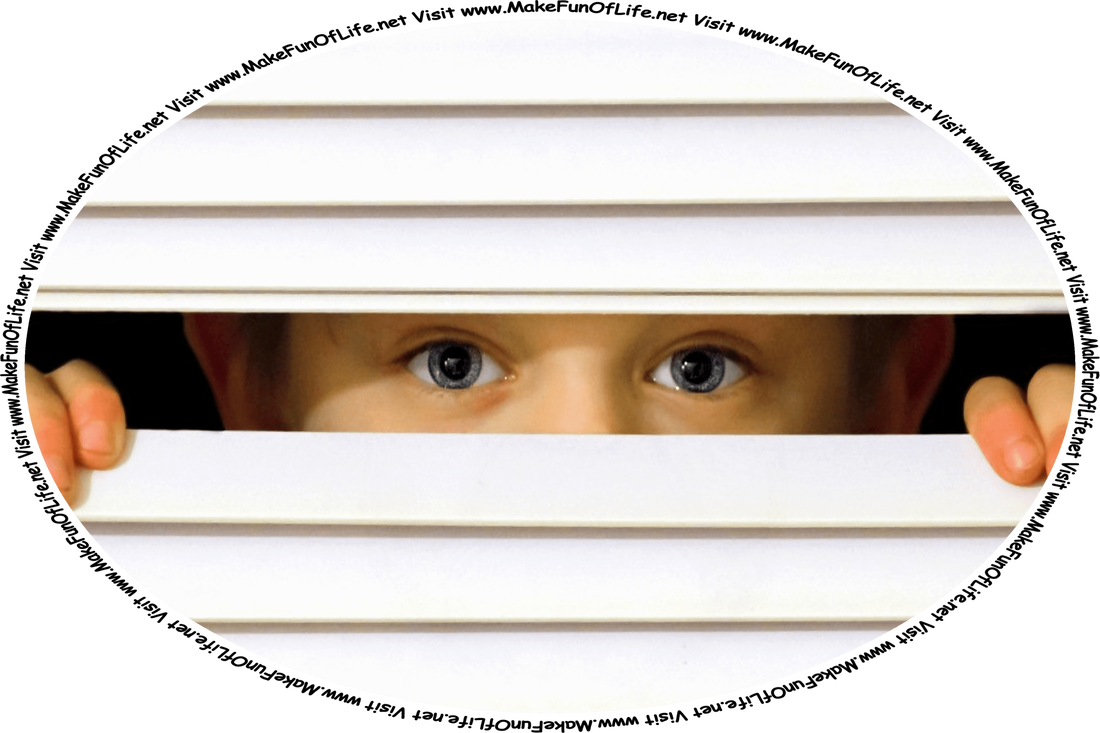 Picture of a boy peeking through window blinds, and the words, ‘Visit www.MakeFunOfLife.net.’