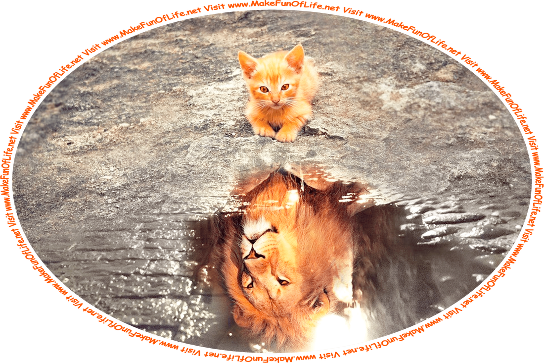 Picture of an orange Tabby Cat kitten looking into a pool of water and seeing reflected back an image of a lion, and the words, ‘Visit www.MakeFunOfLife.net.’