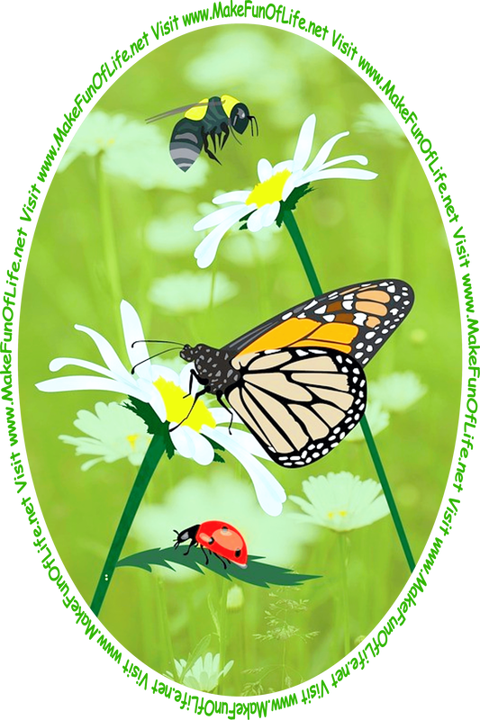 Picture of a bee, a butterfly, and a lady bug near daisy flower blossoms, and the words, ‘Visit www.MakeFunOfLife.net.’