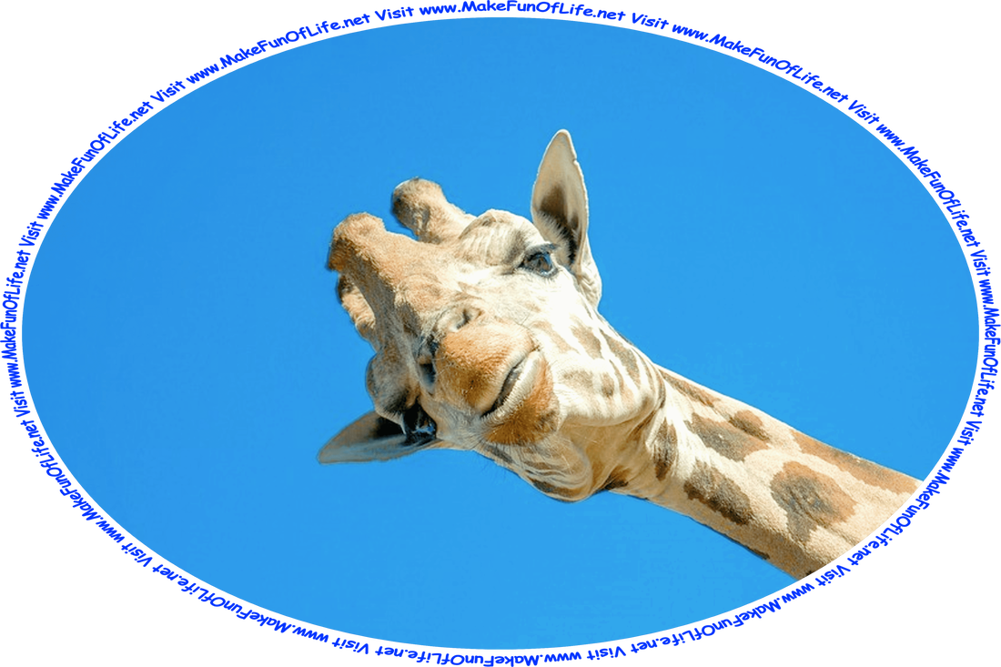 Picture of a tall giraffe looking down, with a clear blue sky above, and the words, ‘Visit www.MakeFunOfLife.net.’