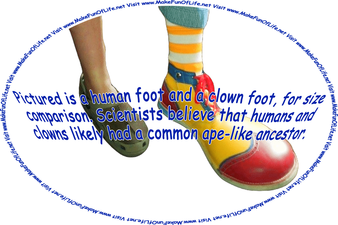 Picture of a human foot and a clown foot, and the words, ‘Visit www.MakeFunOfLife.net.’