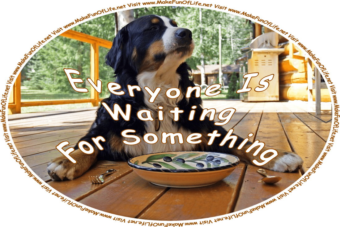 Picture on a bright sunny day of a dog on the outdoor wood deck of a house, with an empty bowl, a fork, and a spoon in front of it, as if waiting for food to be served, with green grass and green leafy trees in the background, and the words, ‘Everyone Is Waiting For Something - Visit www.MakeFunOfLife.net.’